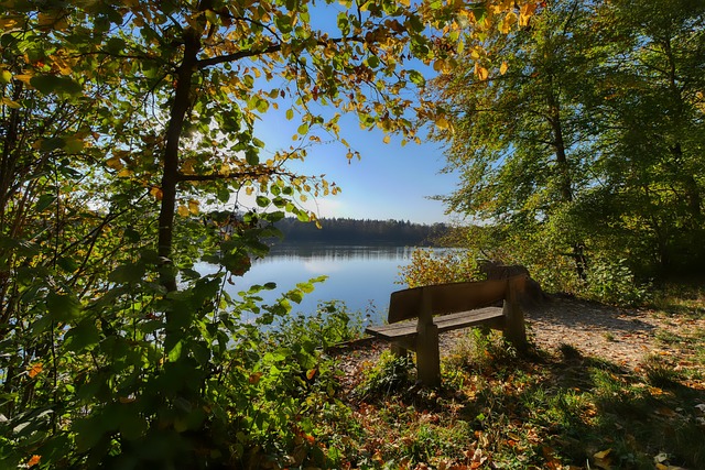 事故为全球 事故为全球