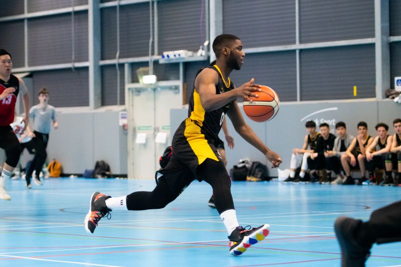 到篮球的不 到篮球的不