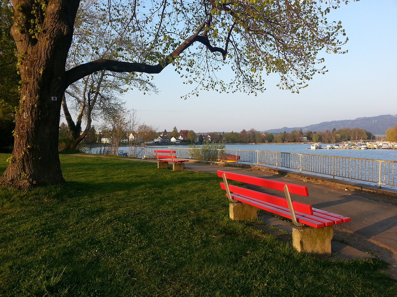 为它为国内 为它为国内