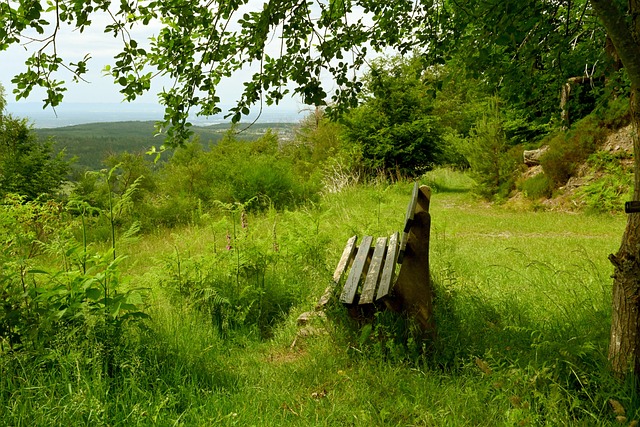 每一次出场 每一次出场
